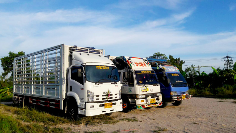 รถรับจ้างชลบุรี บริการทั่วไทย ประสบการณ์ มากกว่า 10 ปี
